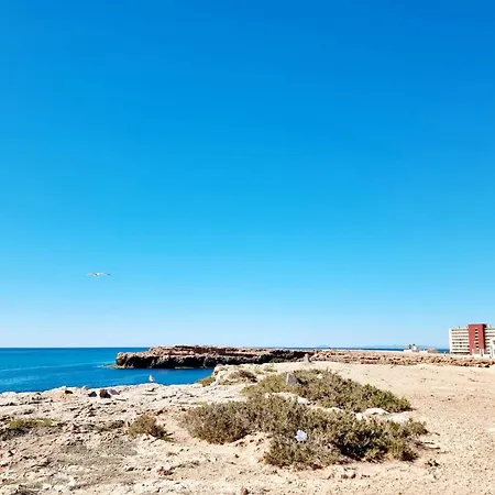 With Garden * Torrevieja